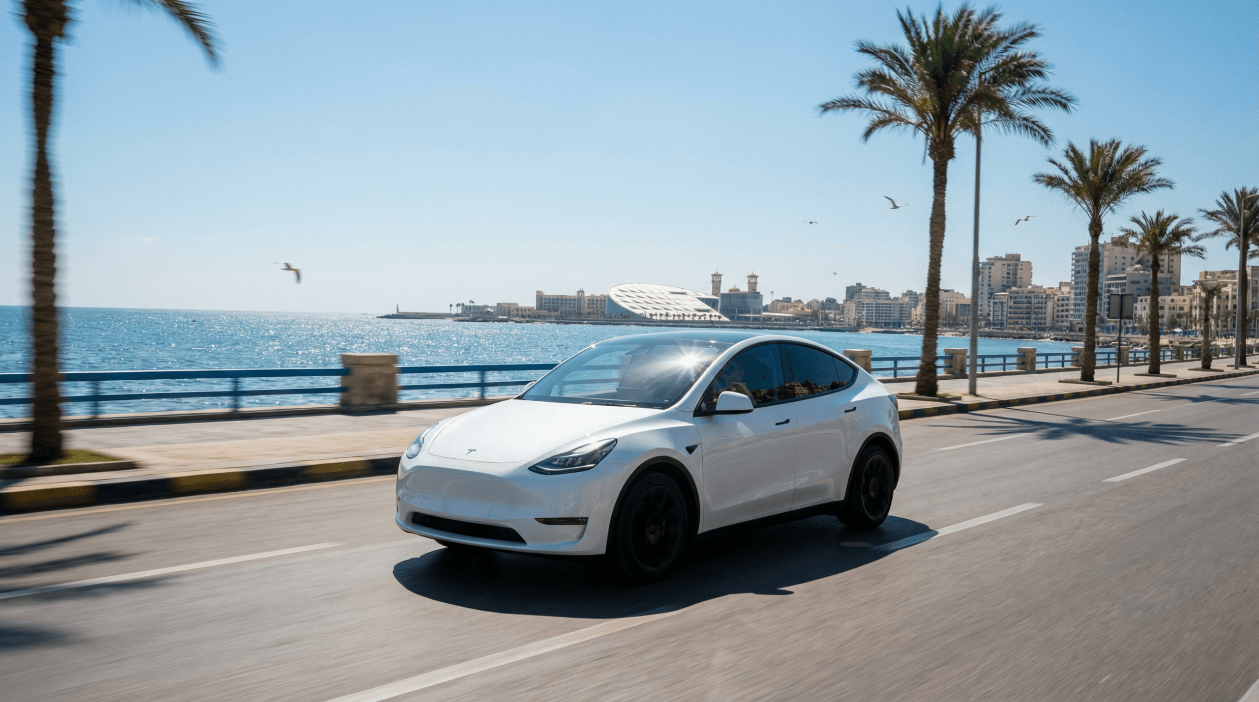 سيارة تسلا موديل Y البيضاء على كورنيش الإسكندرية - اسعار تسلا في مصر 2026